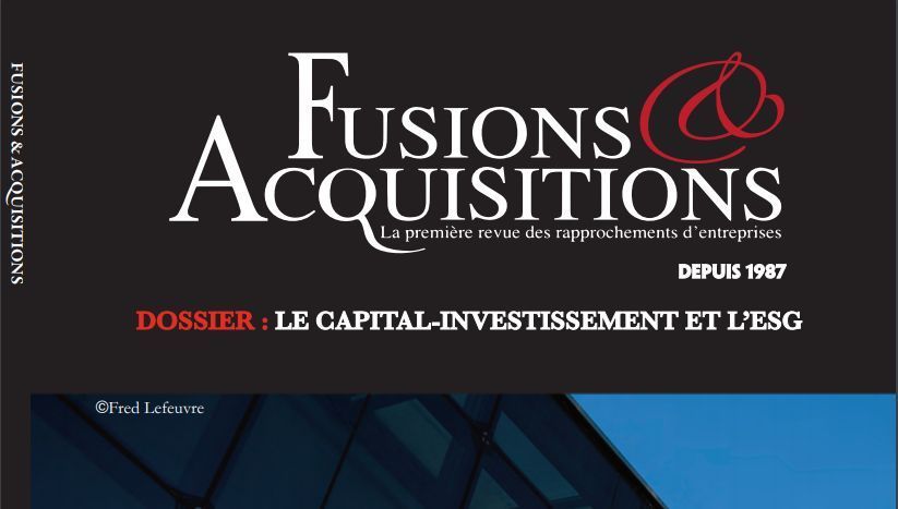 L'acquisition de sociétés en Allemagne - Extrait Magazine Fusions&Acquisitions