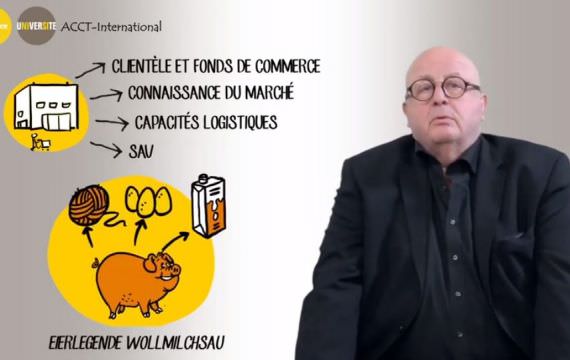 S05 – Exporter via des distributeurs ou des agents